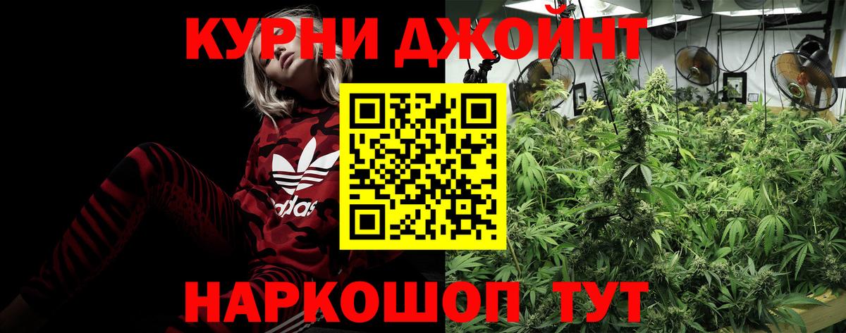 Шишки марихуана AK-47  Марихуана план  Кинель  Вход с VPN  Канабис конопля 